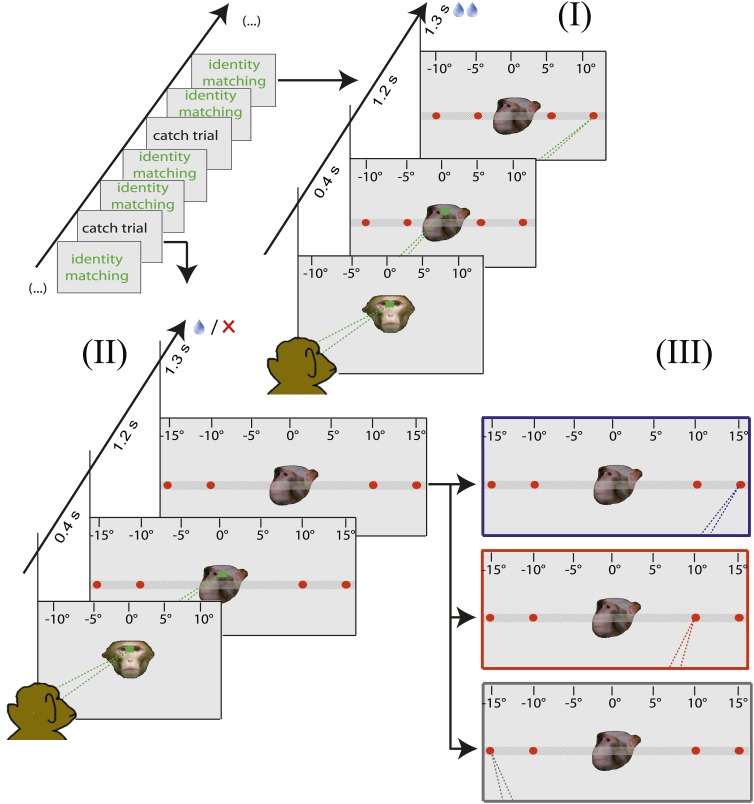 Figure 2—figure supplement 2.