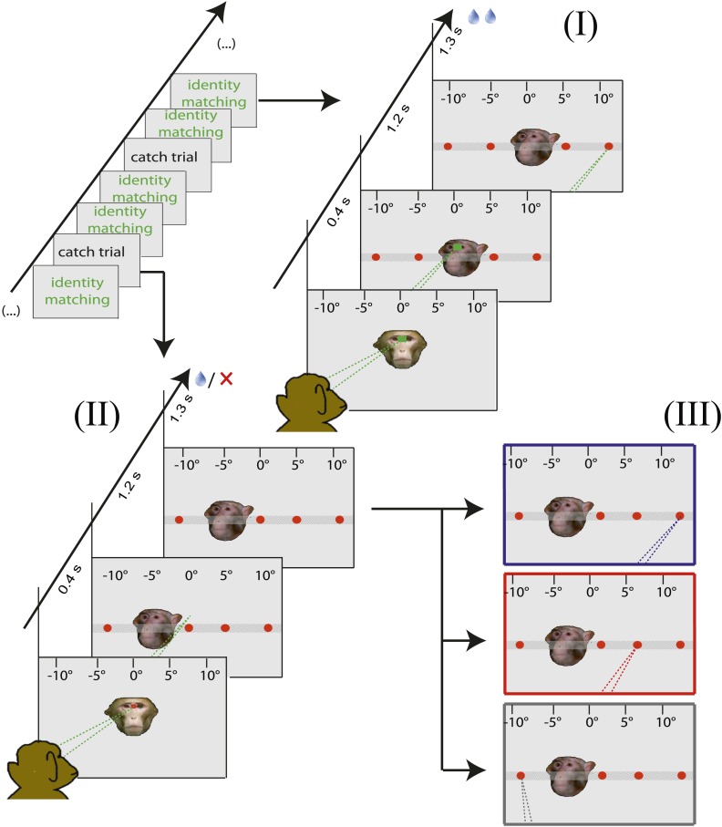 Figure 2—figure supplement 1.