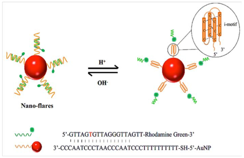 Figure 12.