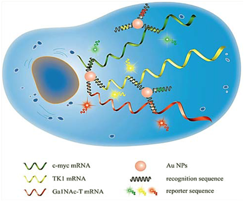 Figure 3.