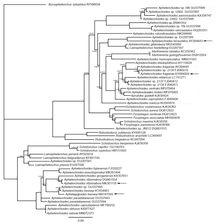 Figure 12