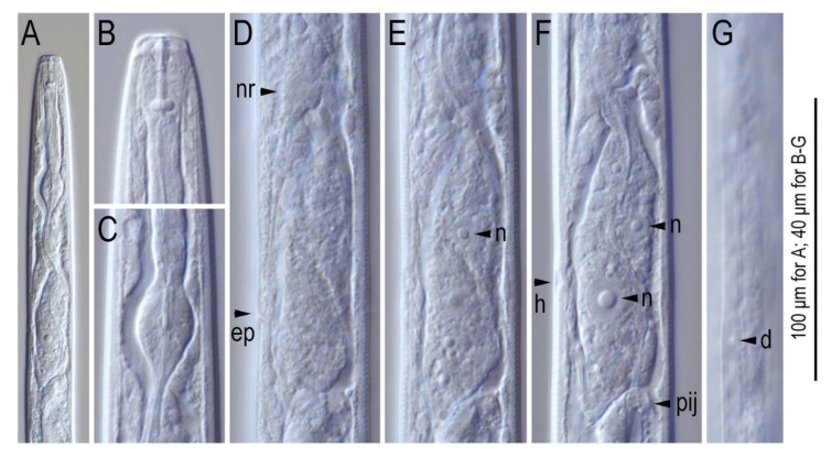 Figure 10