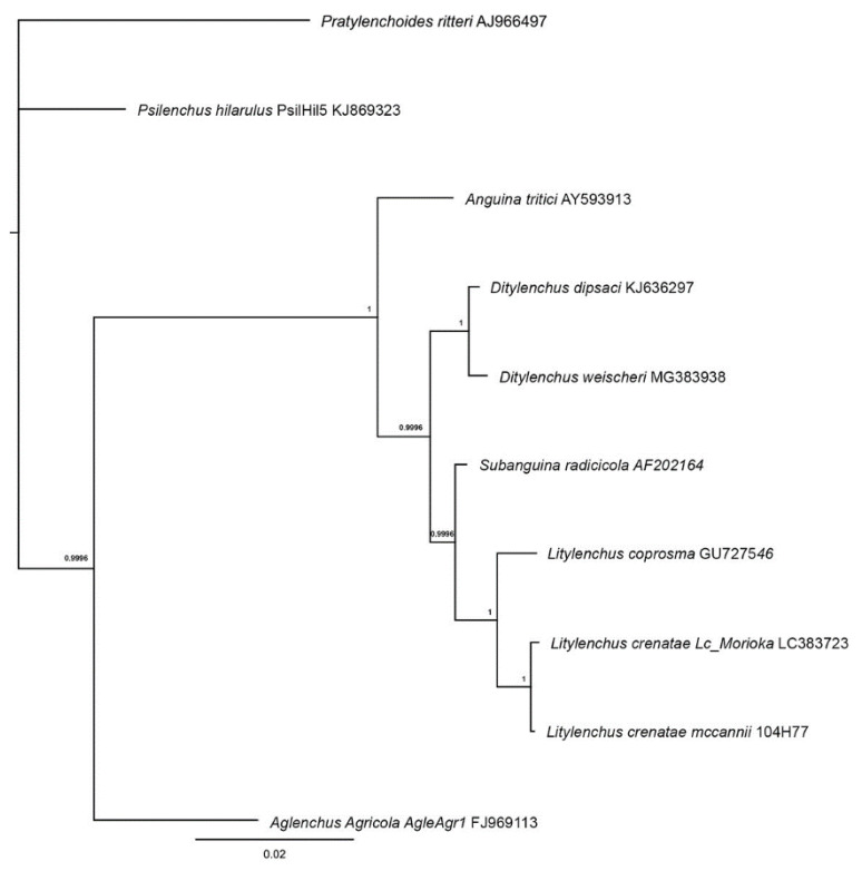 Figure 13