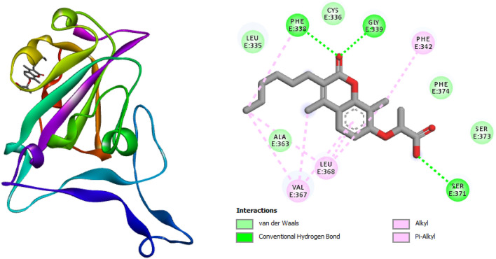 Figure 4