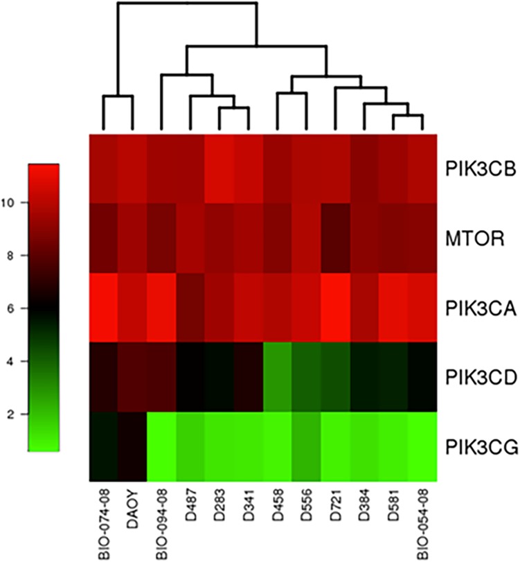 Fig 1