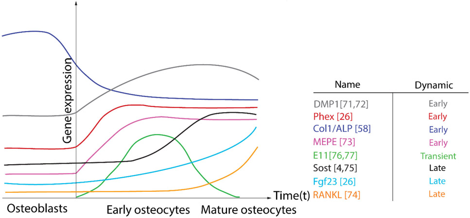 Figure 4: