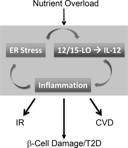 Fig. 8.