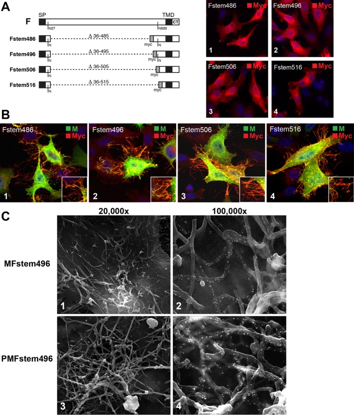 FIG 6