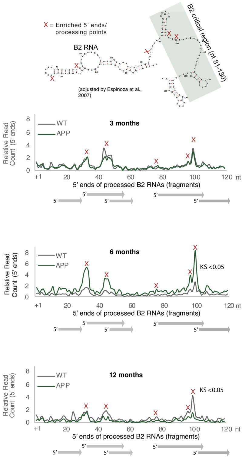 Figure 3—figure supplement 1.