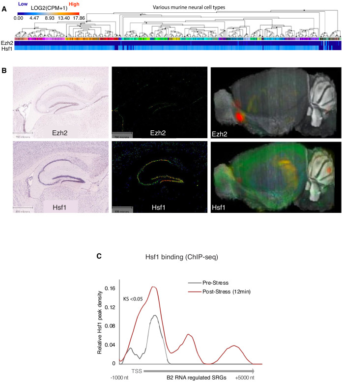 Figure 4—figure supplement 1.