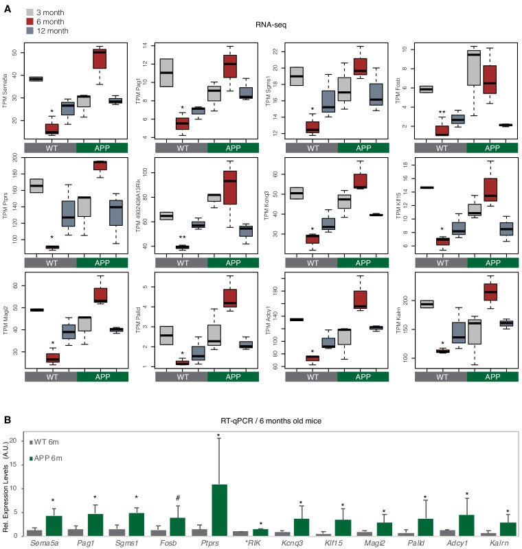 Figure 2—figure supplement 2.