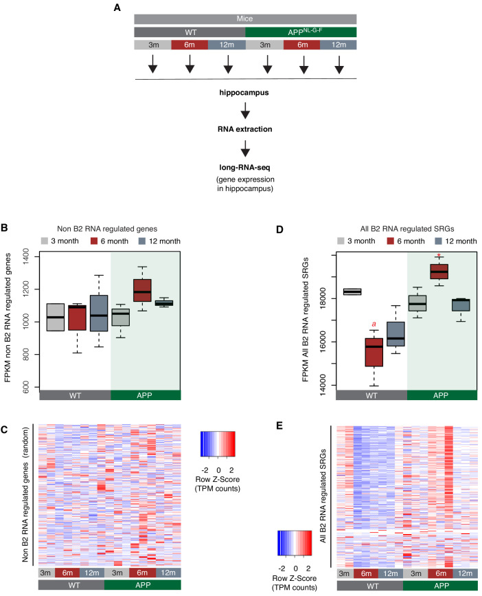 Figure 2—figure supplement 3.