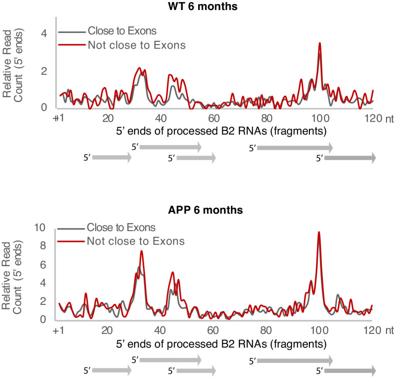 Figure 3—figure supplement 2.