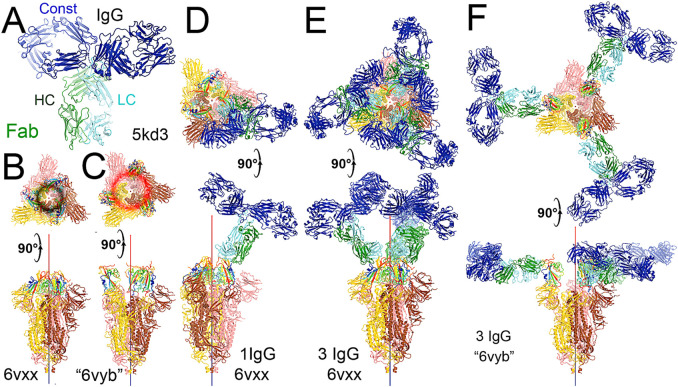 FIGURE 4