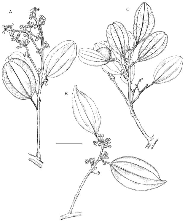 Fig. 3