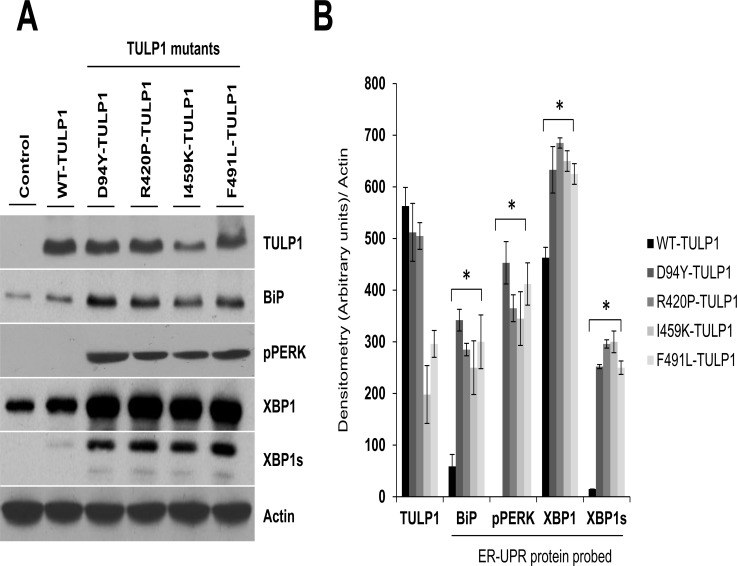 Fig 4