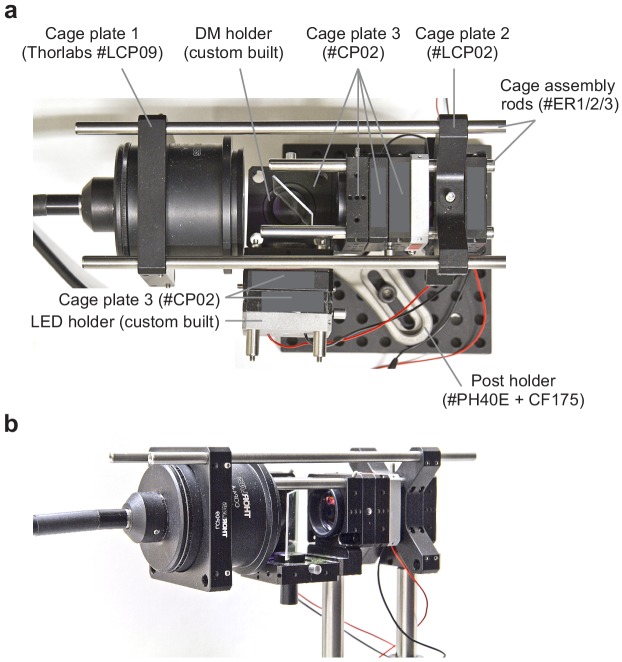 Figure 2—figure supplement 6.