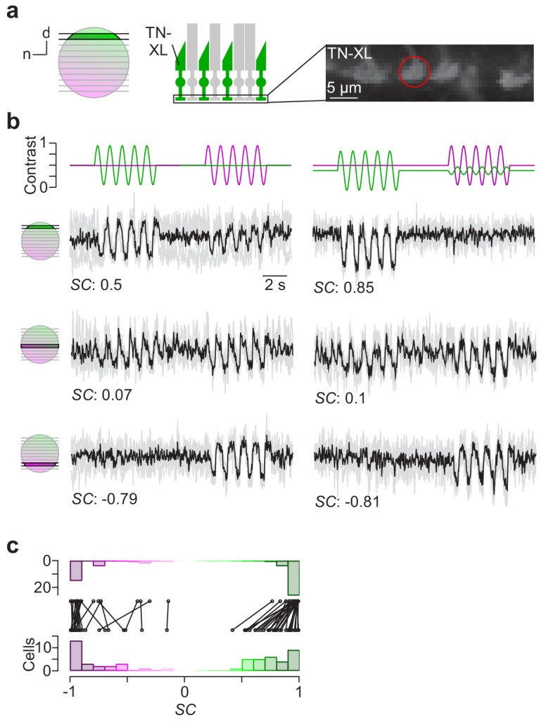 Figure 5.