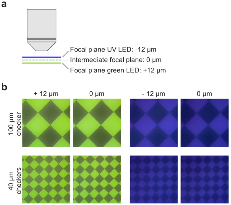 Figure 4—figure supplement 1.