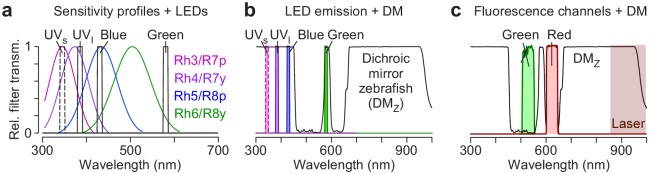 Figure 2—figure supplement 4.