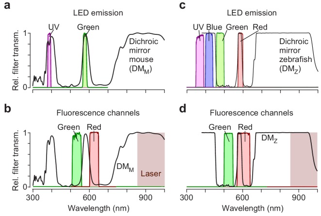 Figure 2—figure supplement 3.