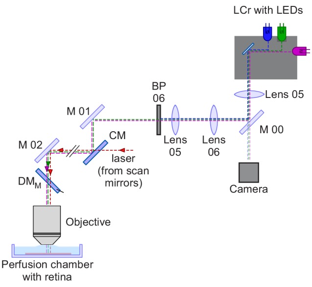 Figure 2—figure supplement 1.