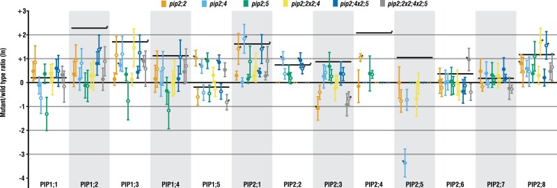 Fig. 6.