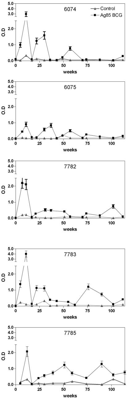 FIG. 4.