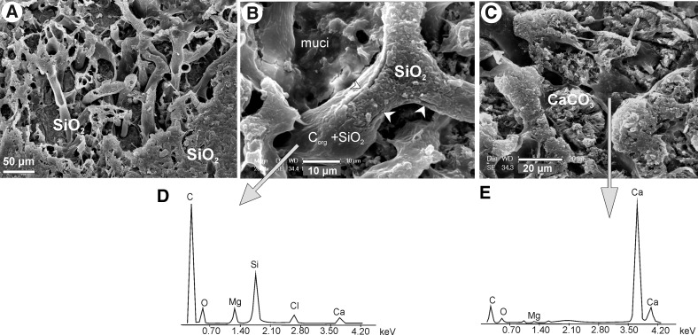 FIG. 8.