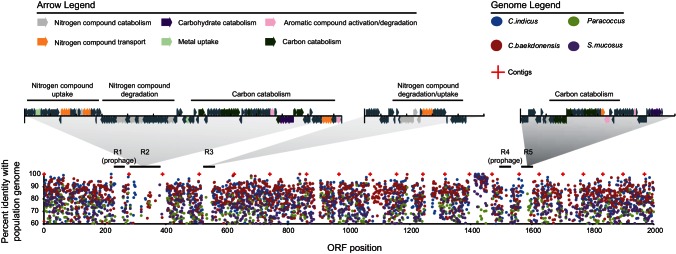 FIG 6