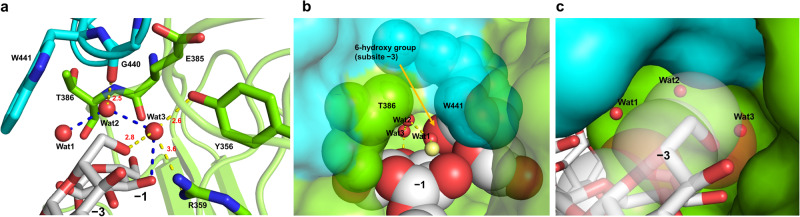 Fig. 4