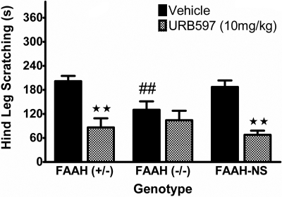 Fig. 9.