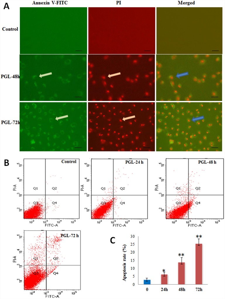 Fig 4