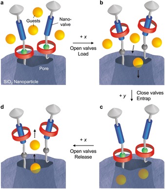 Figure 12