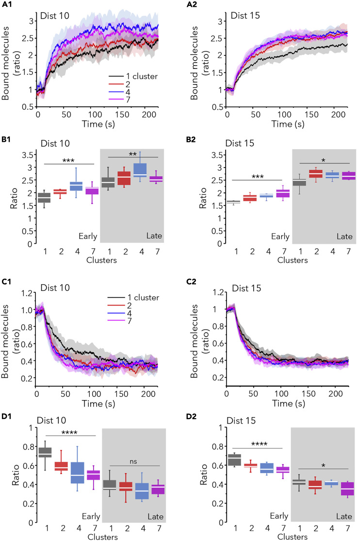 Figure 6