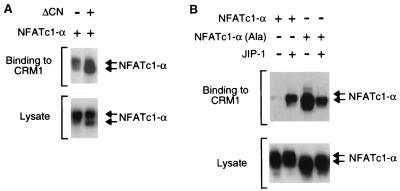 FIG. 8