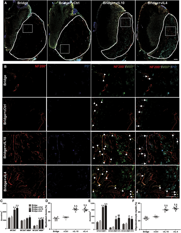 Figure 5