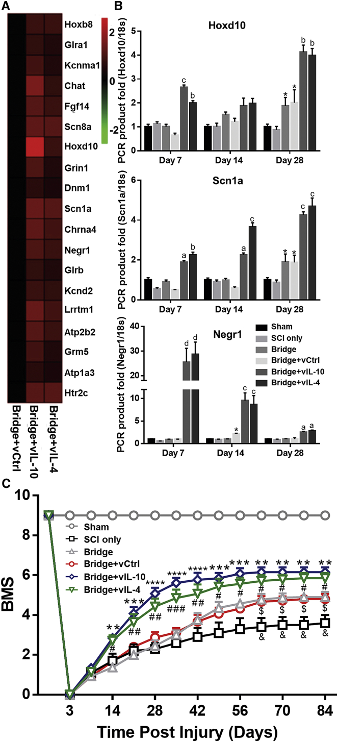 Figure 6