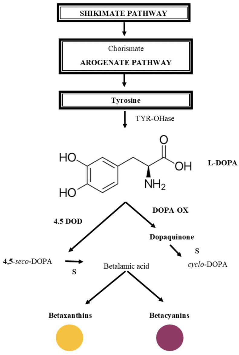 Figure 7