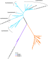 FIG 1
