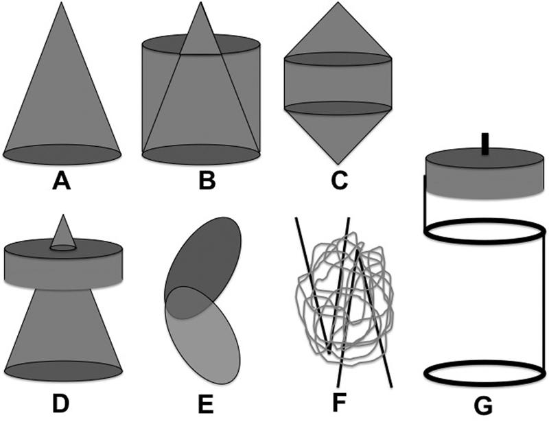 Fig. 7