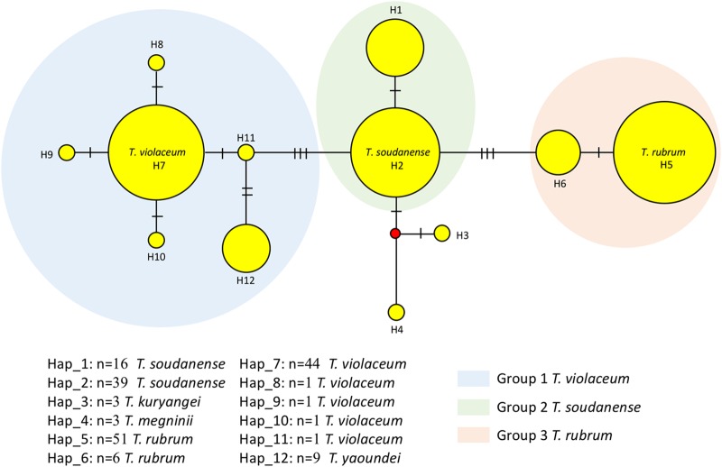 FIG 1