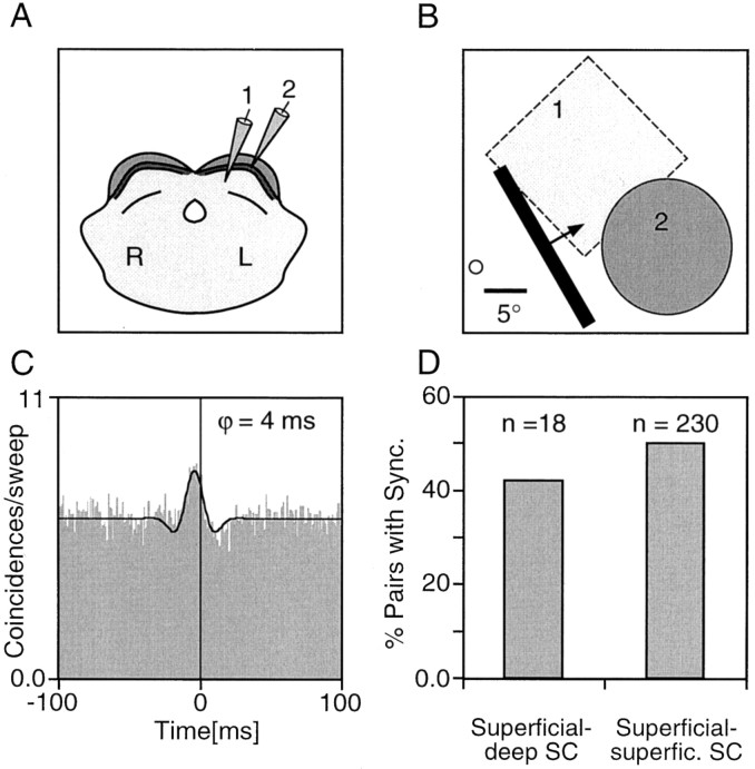 Fig. 8.