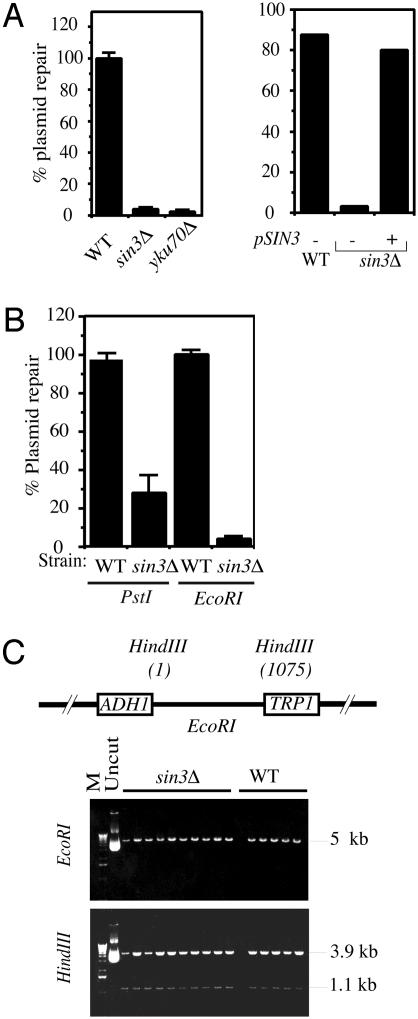 Fig. 3.