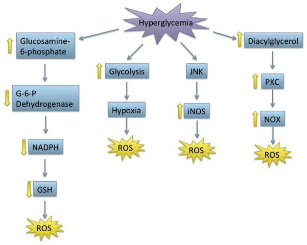 Figure 11