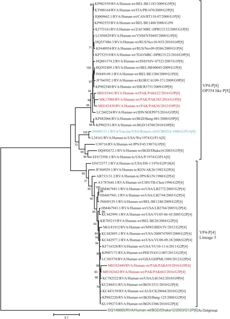 FIGURE 3