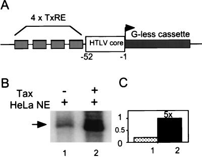 FIG. 1