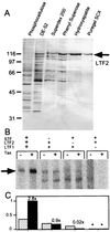 FIG. 6