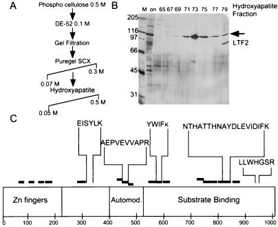 FIG. 7