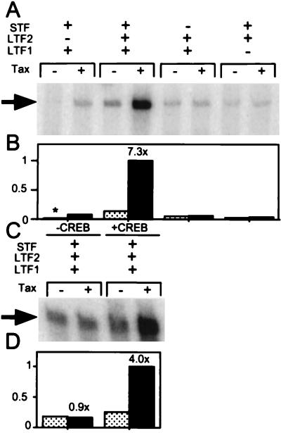 FIG. 5